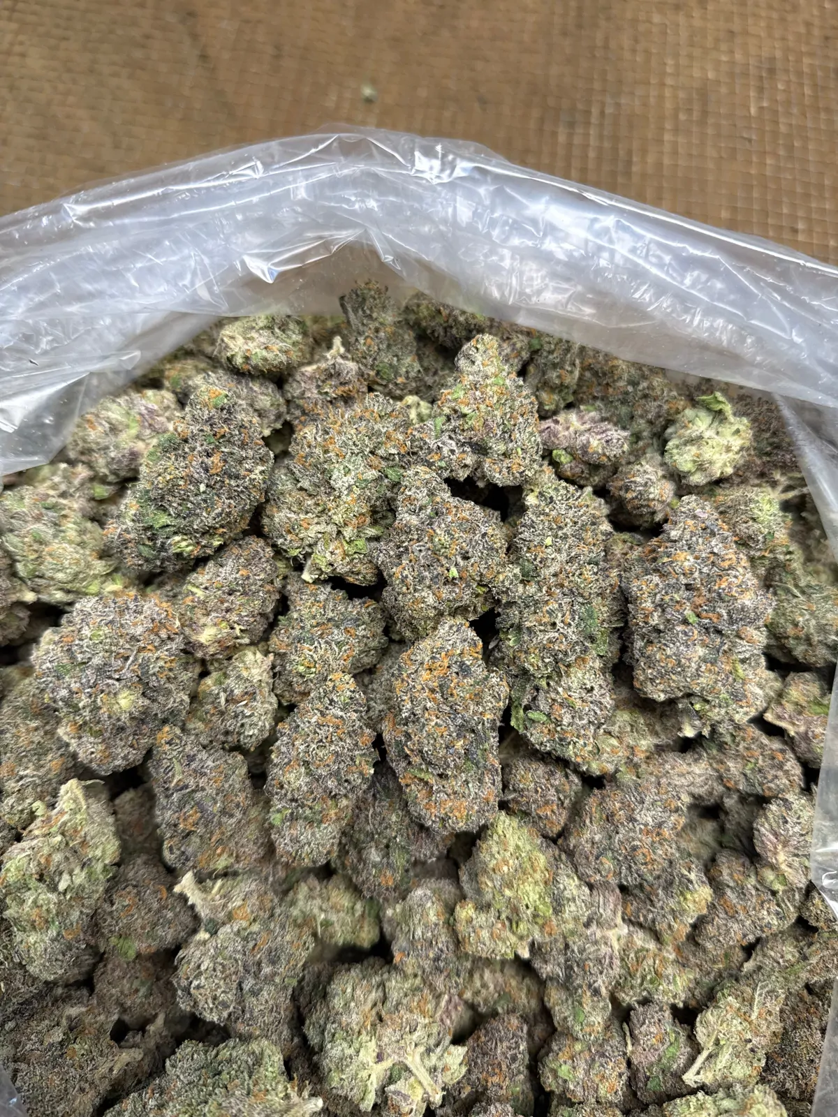 Grand Daddy Purple Flower